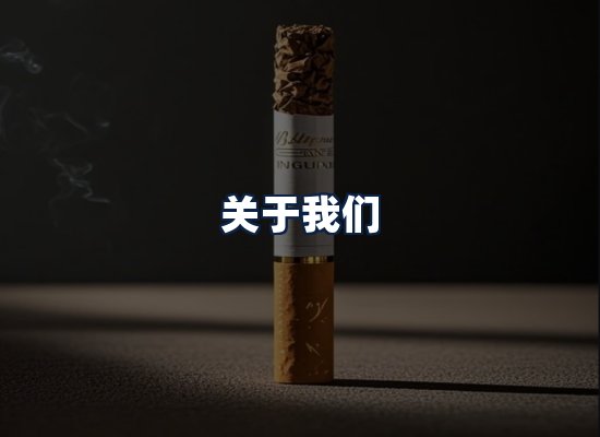 关于我们